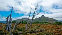 Overland Track